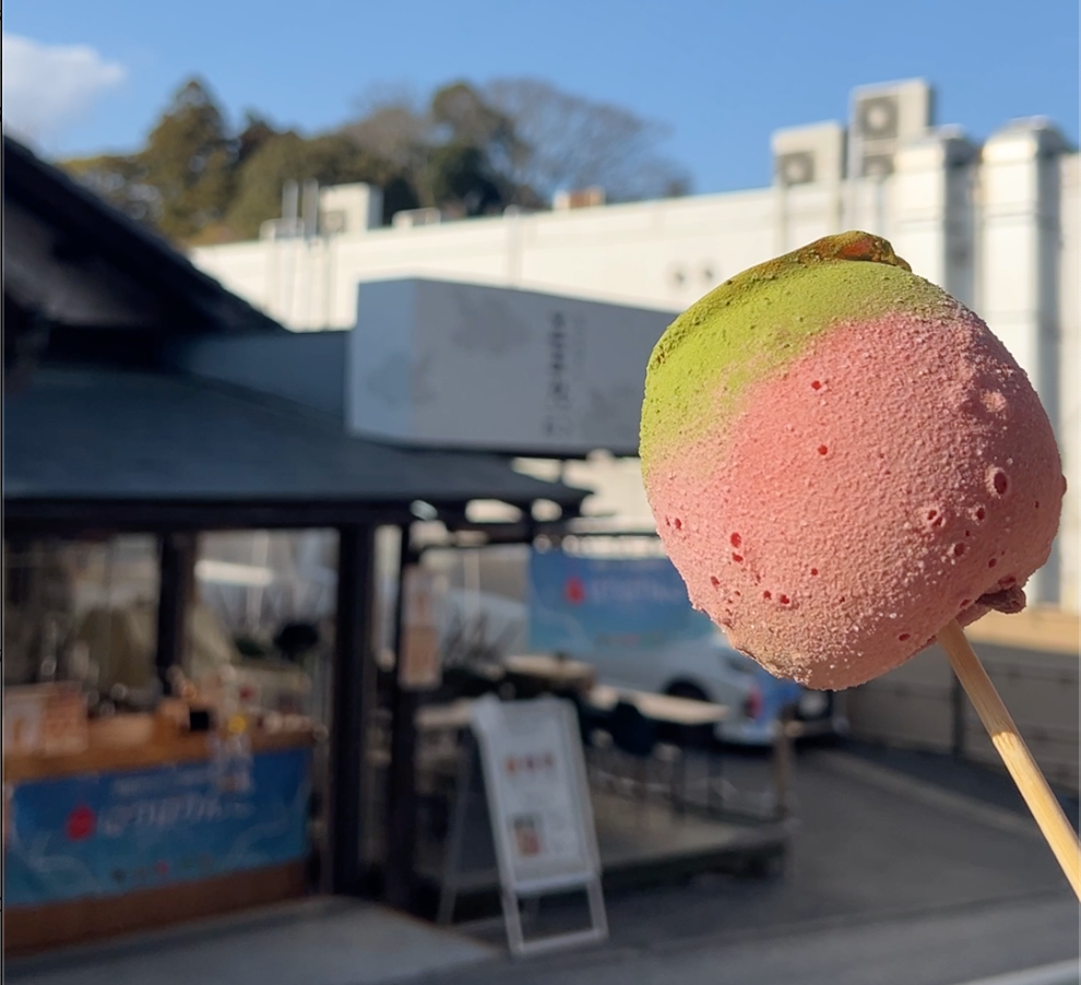 【4個以上で送料無料】りんご飴(ホール)がお店価格|青森県産シナノゴールド使用|オンラインストアオープン記念!